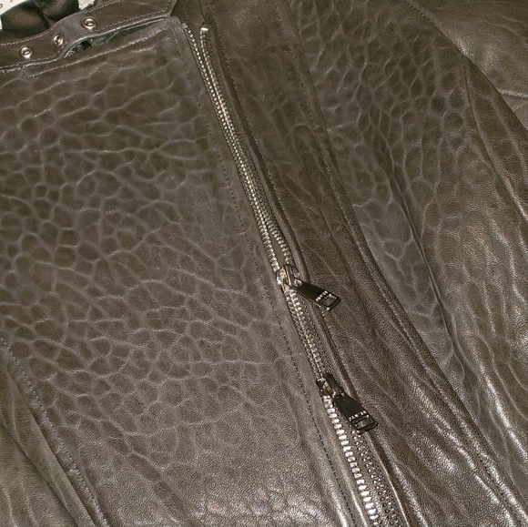 Danier Leather Jacket - Picture 5 of 6